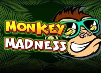 Игровой слот Monkey Madness
